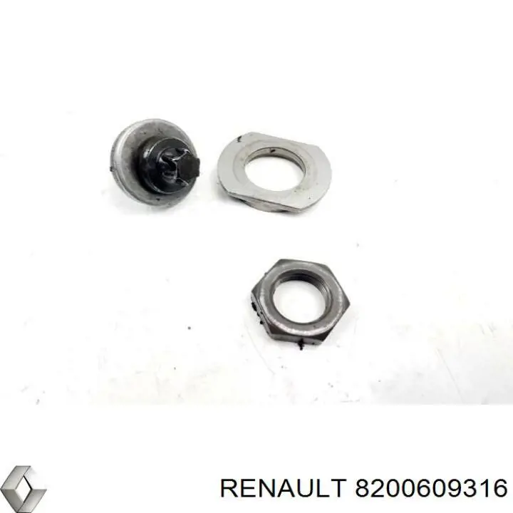 8200609316 Renault (RVI) 