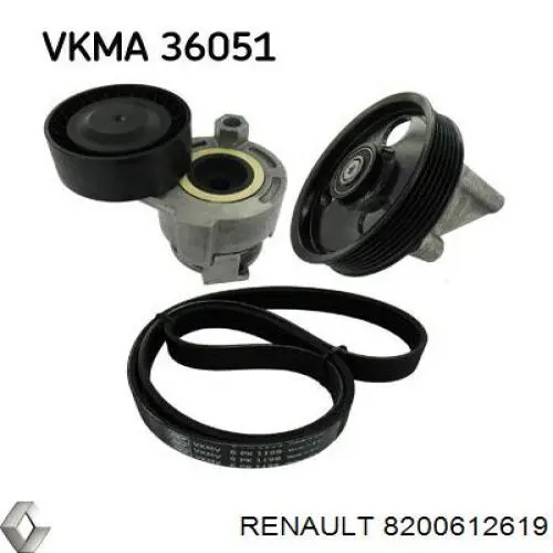 Натяжитель приводного ремня 8200612619 Renault (RVI)