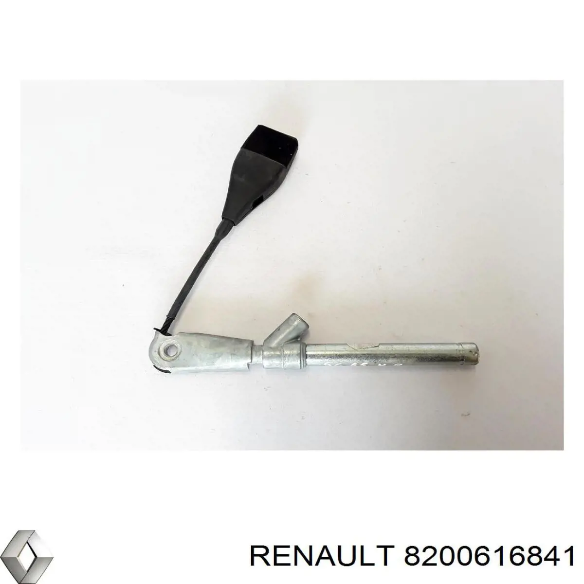 8200616841 Renault (RVI) 