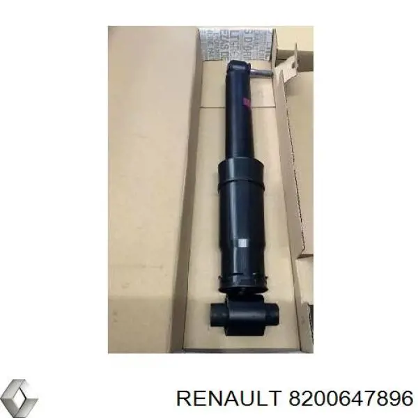  8200647896 Renault (RVI)