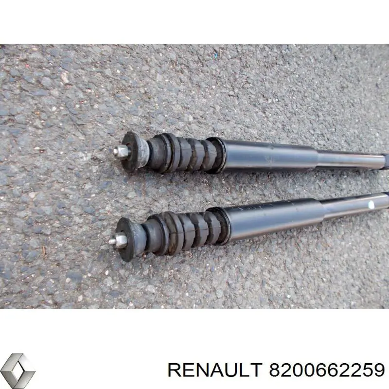 Амортизатор задний 8200662259 Renault (RVI)