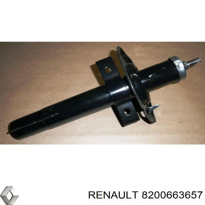 8200663657 Renault (RVI) амортизатор передний