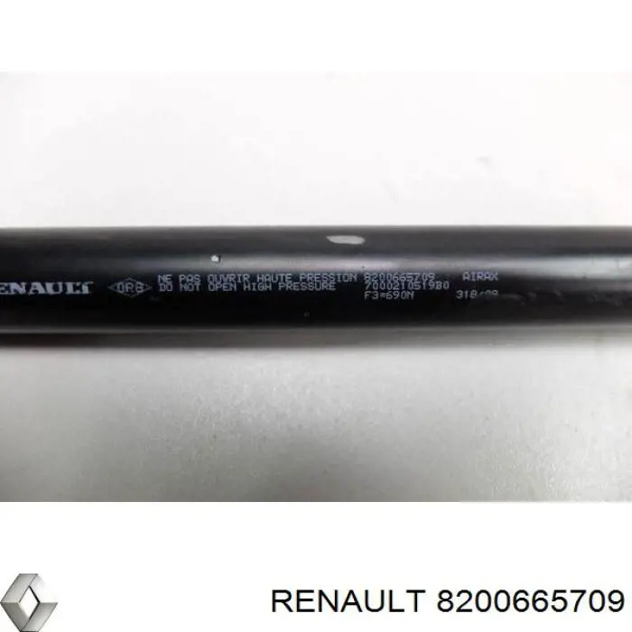 Амортизатор задней двери Renault (RVI) 8200665709 цена, от 12.40 USD