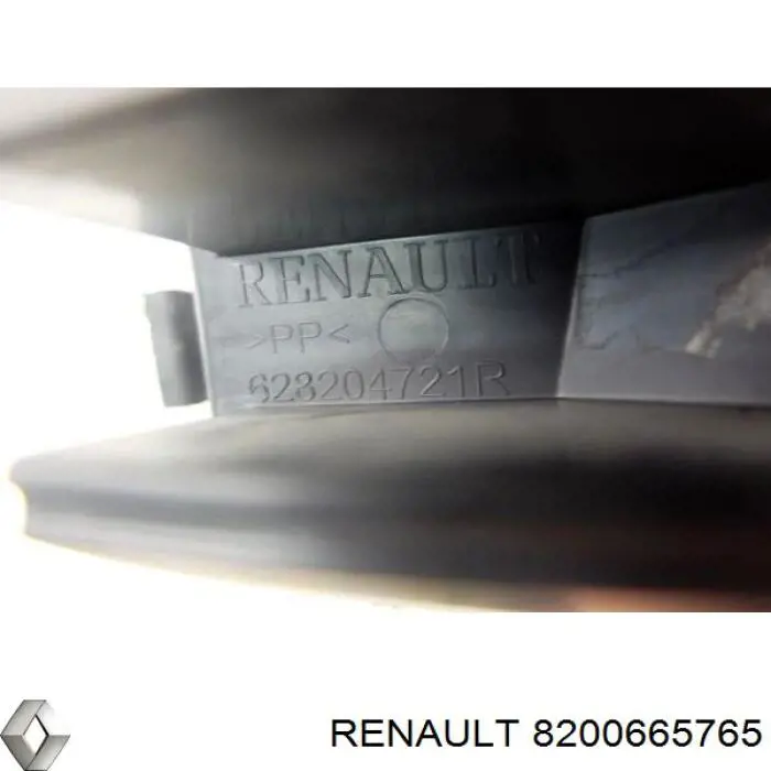  8200665765 Renault (RVI)