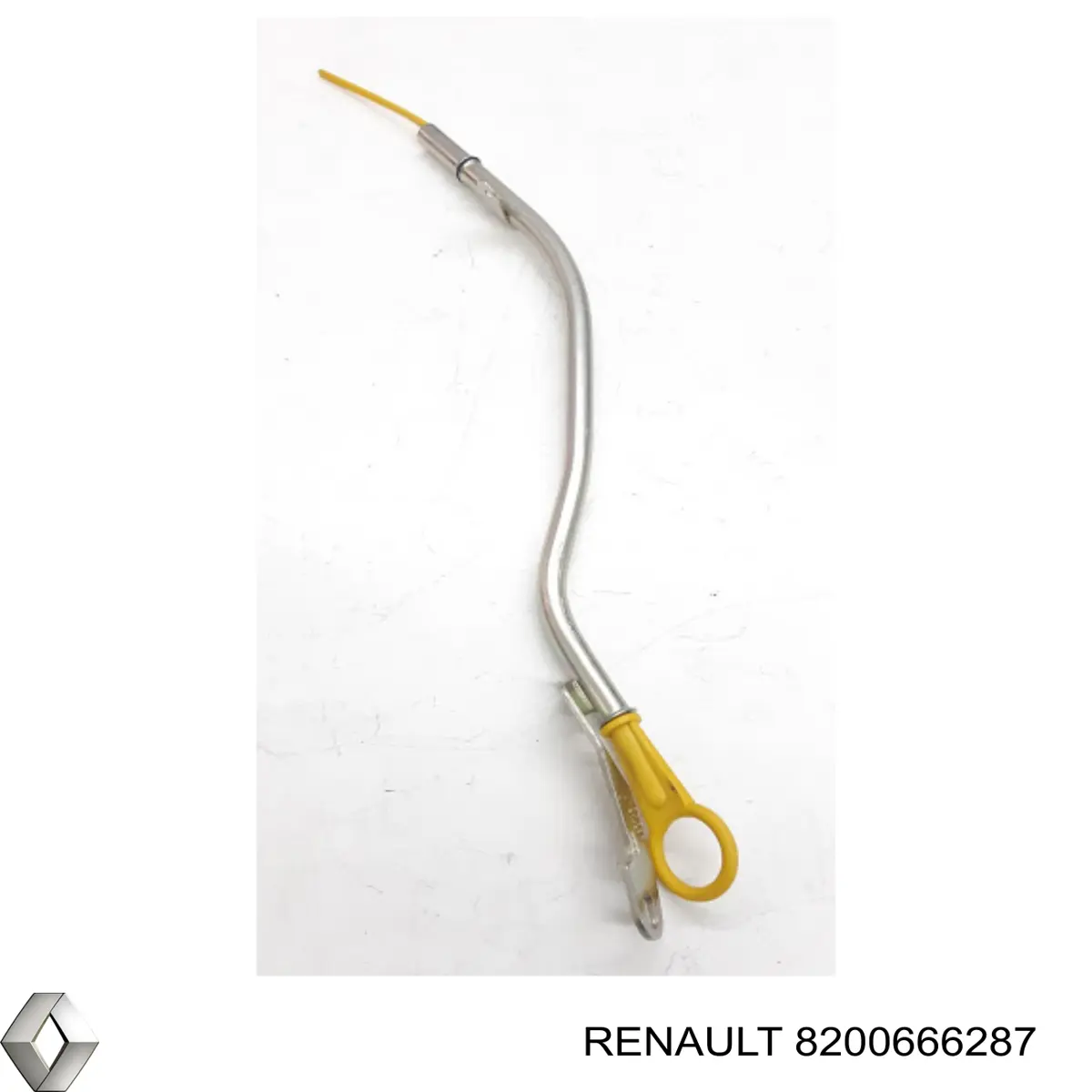  8200666287 Renault (RVI)