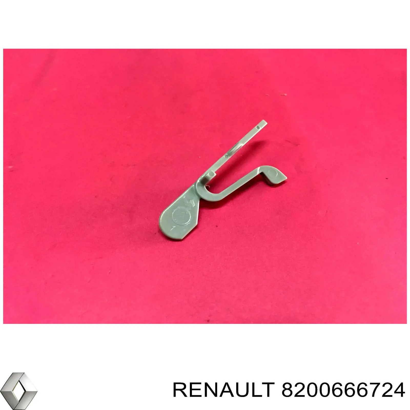  8200666724 Renault (RVI)