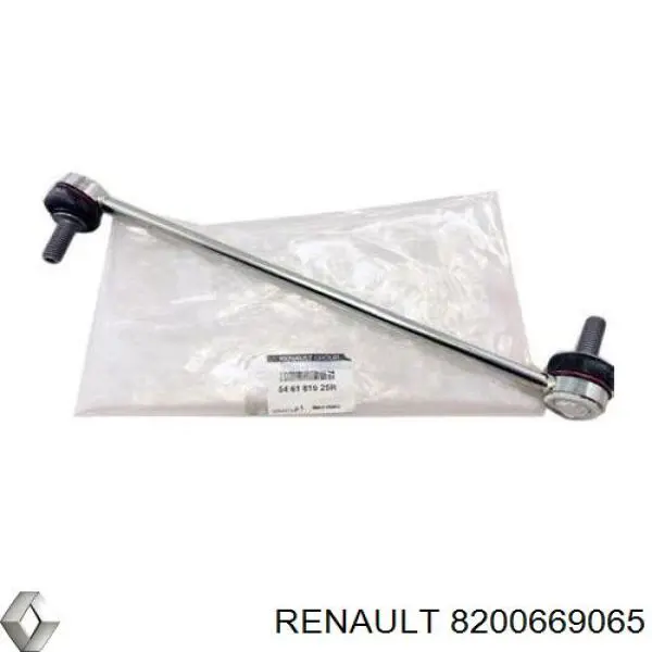 8200669065 Renault (RVI)