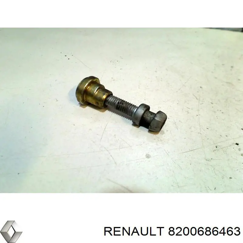  8200686463 Renault (RVI)