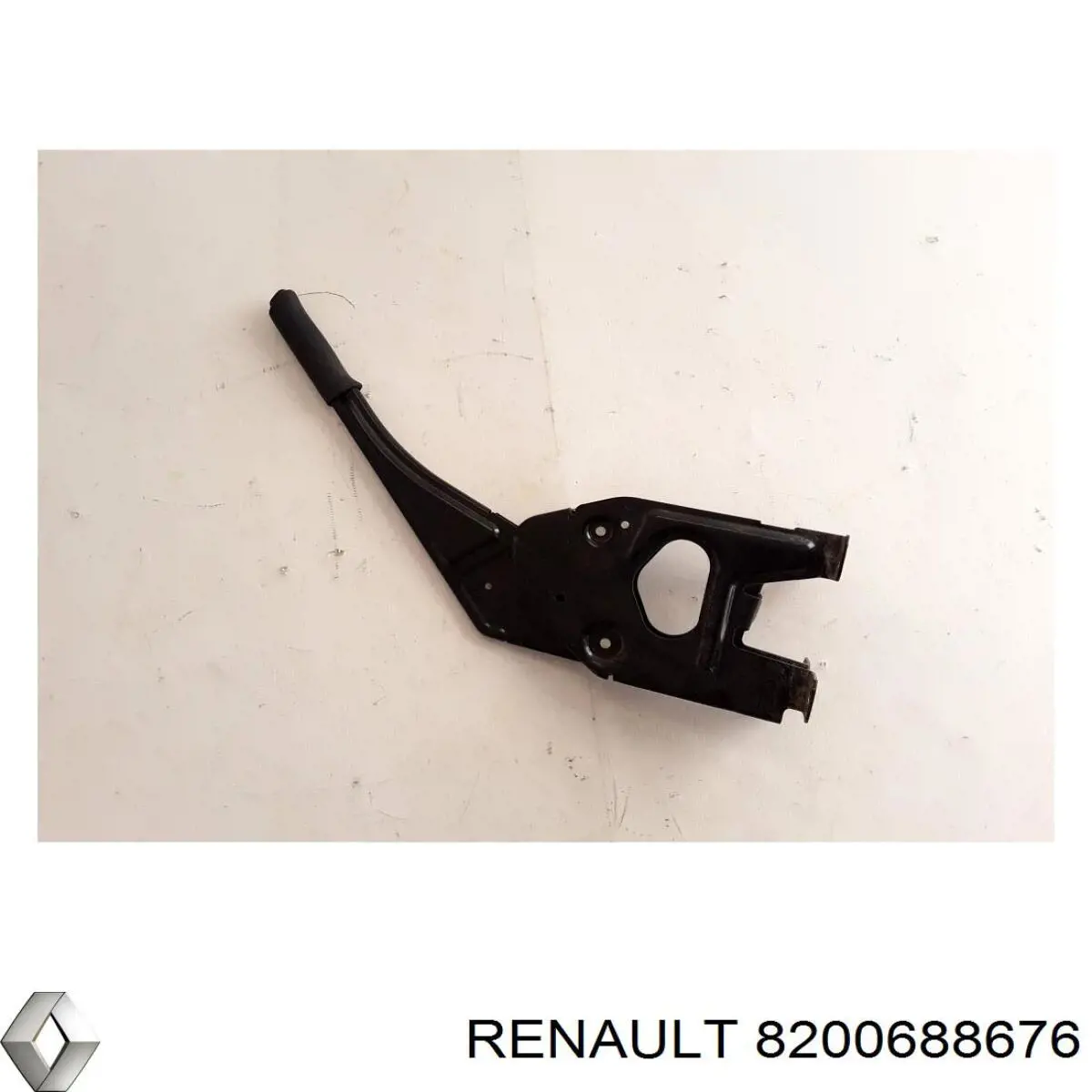  8200021934 Renault (RVI)