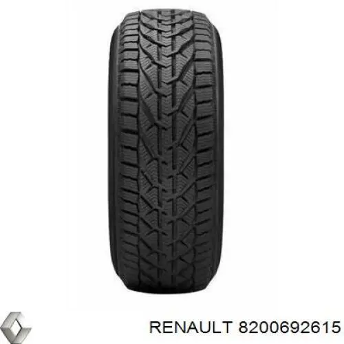 Купить 8200692615 Renault (RVI) 