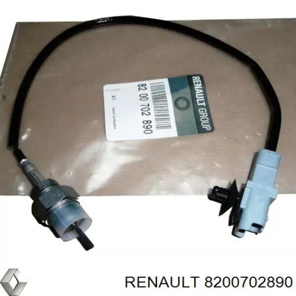  8200702890 Renault (RVI)