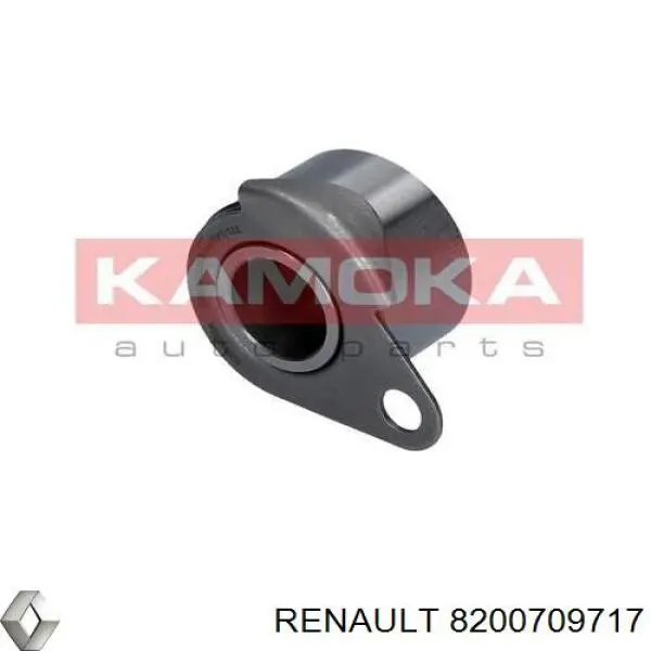 8200709717 Renault (RVI)