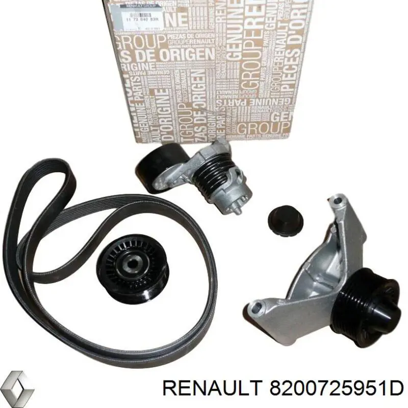 Ролик паразитный Renault (RVI) 8200725951D