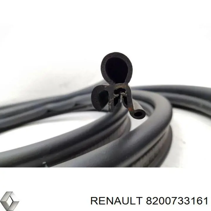 Купить 8200733161 Renault (RVI) 