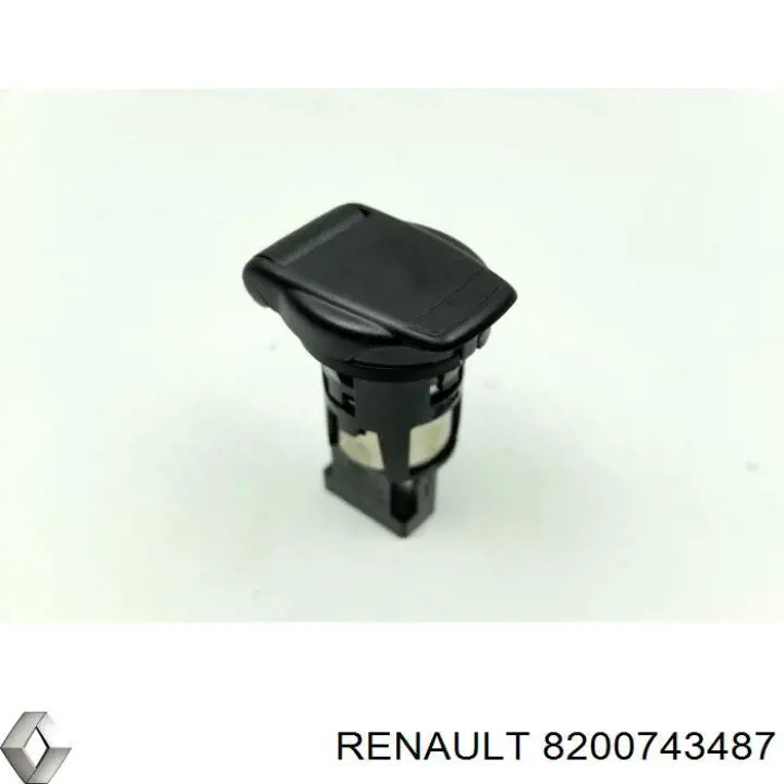  8200743487 Renault (RVI)
