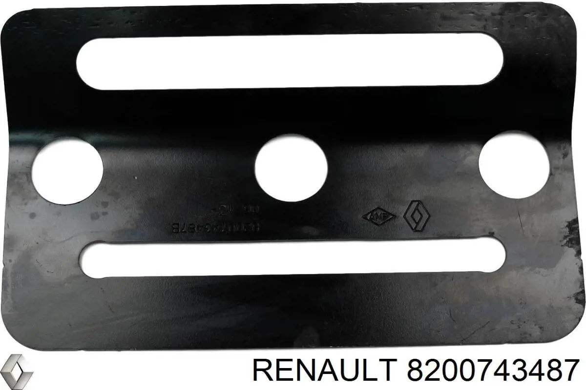  8200743487 Renault (RVI)