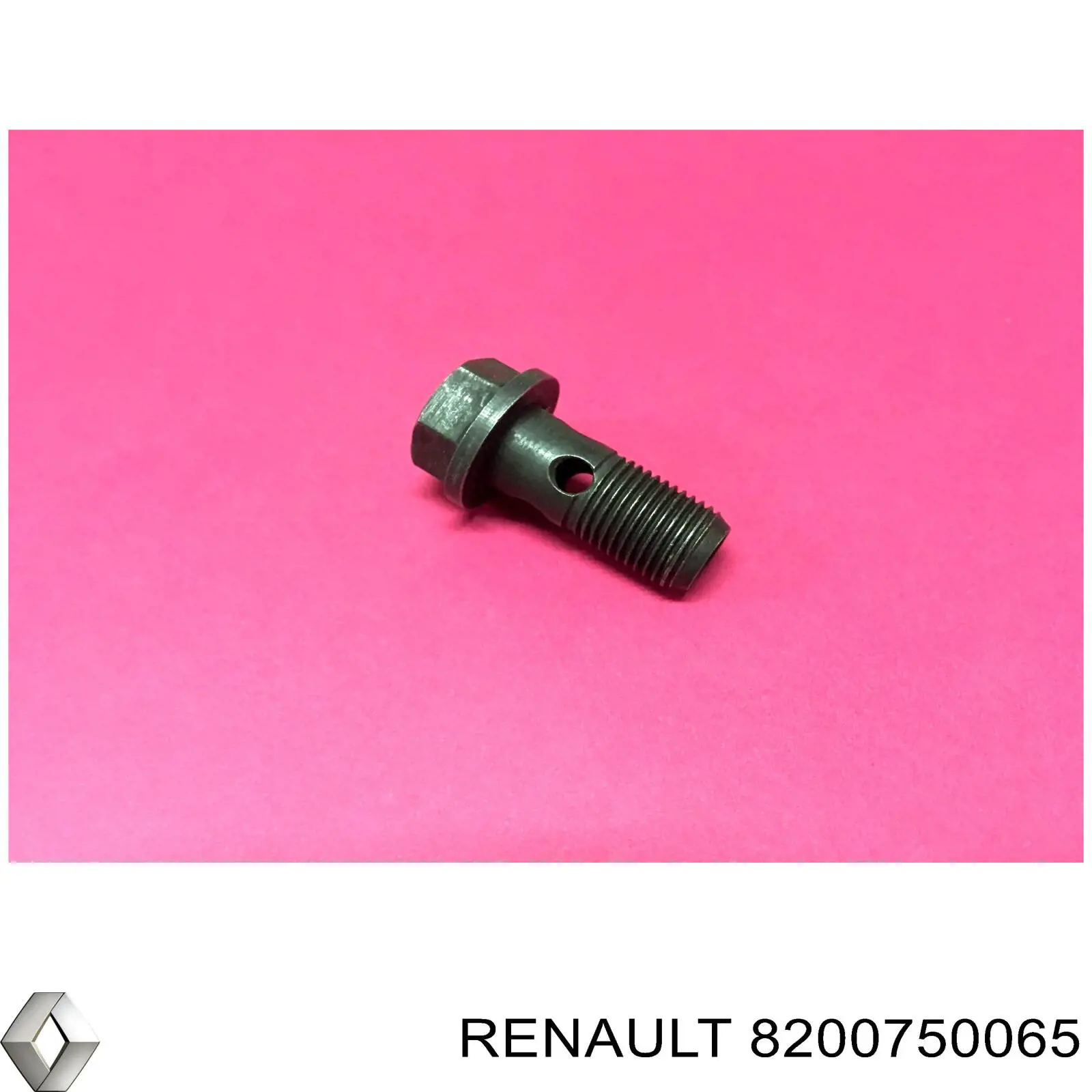 8200750065 Renault (RVI) parafuso de tubo de turbina de fornecimento de óleo