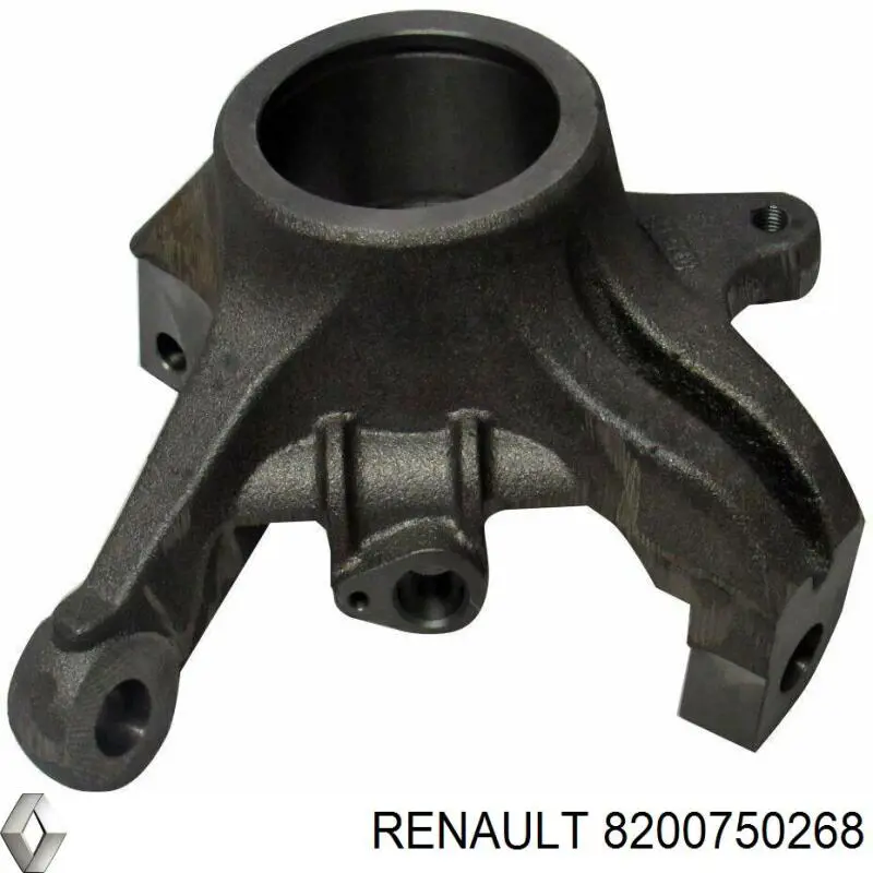 Цапфа (поворотный кулак) передний левый Renault (RVI) 93194862 цена, от 57.68 USD