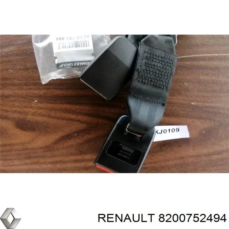  8200752494 Renault (RVI)