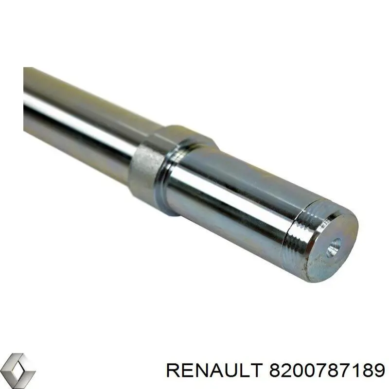Болт переднего рычага Renault (RVI) 8200787189 цена, от 67.91 USD