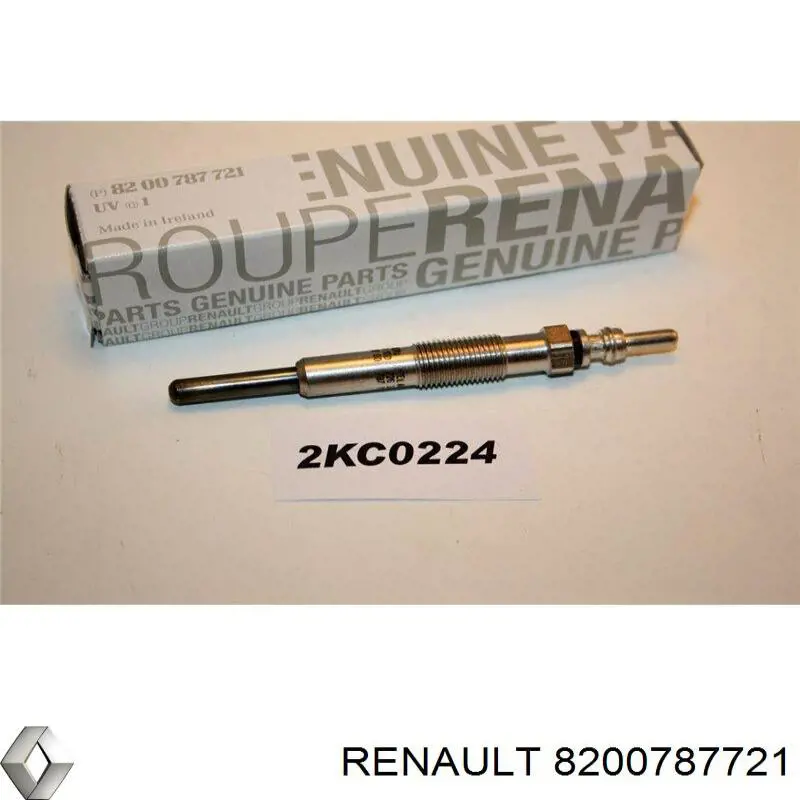 8200787721 Renault (RVI)