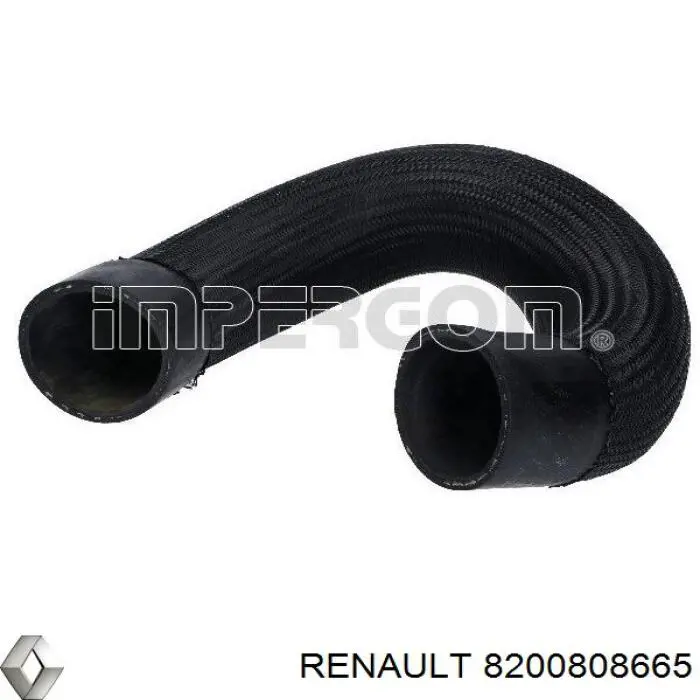 8200808665 Renault (RVI)