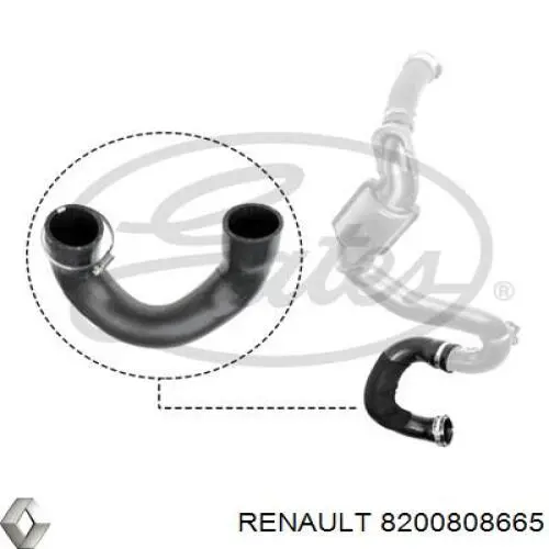 8200808665 RENAULT Manguera del intercooler izquierda original y equivalente