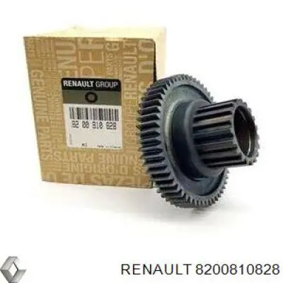 8200810828 Renault (RVI)