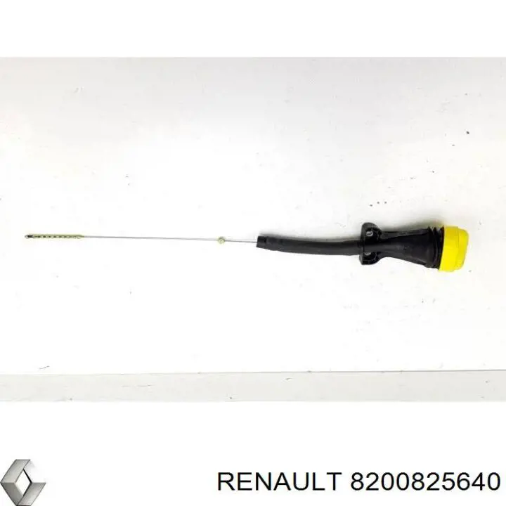 8200825640 Renault (RVI)