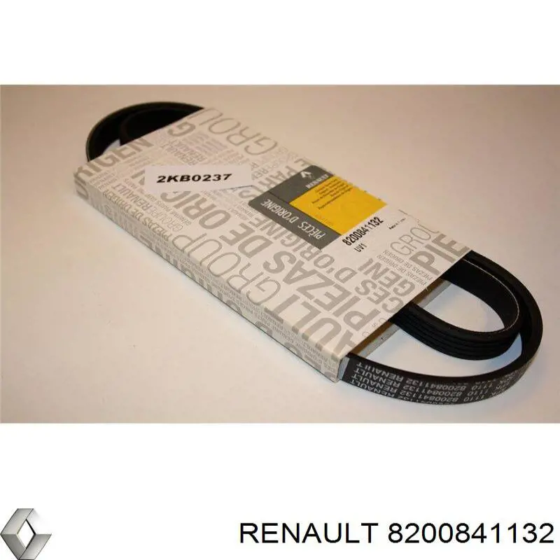 8200841132 Renault (RVI)