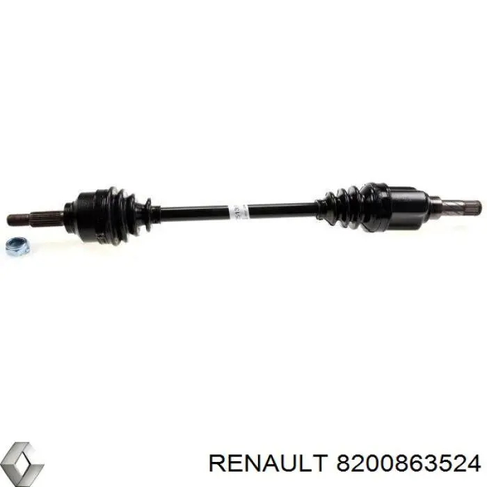 8200863524 Renault (RVI) 