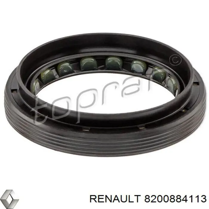 8200884113 Renault (RVI) Сальник переднего моста