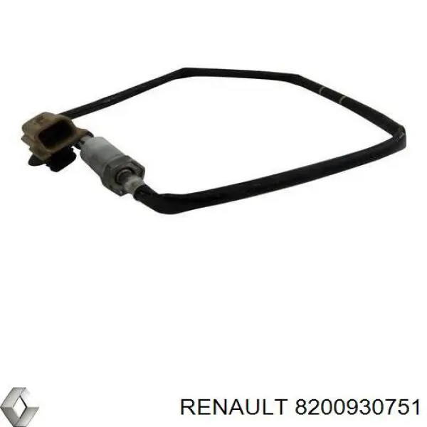 8200930751 Renault (RVI)