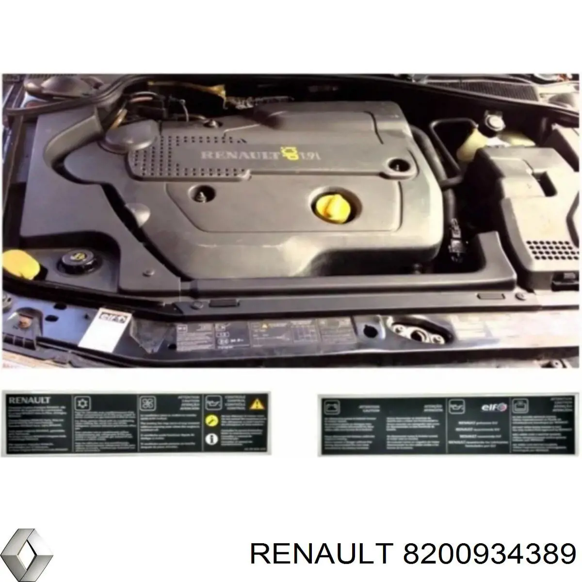 8200934389 Renault (RVI) 
