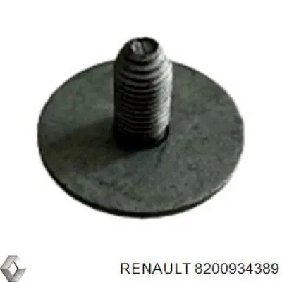 Купить 8200934389 Renault (RVI) 
