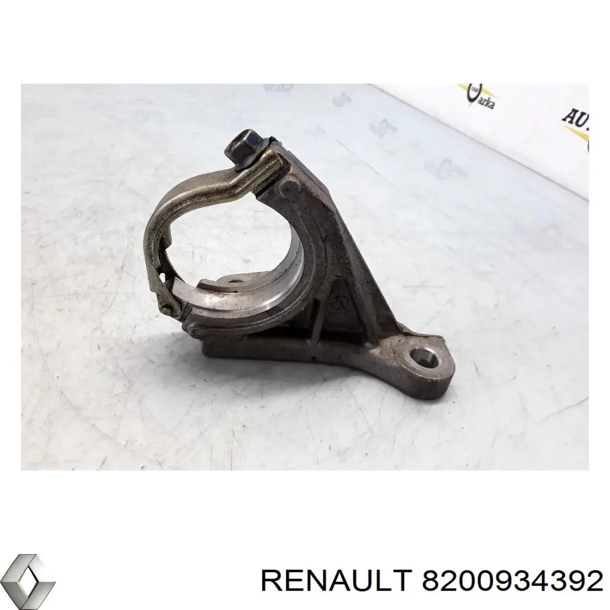  8200934392 Renault (RVI)