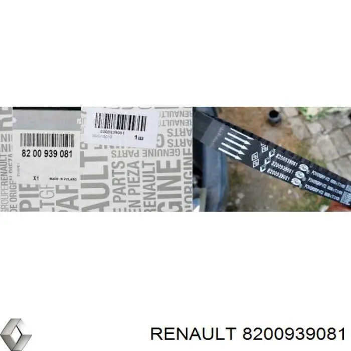 8200939081 Renault (RVI) correia do mecanismo de distribuição de gás