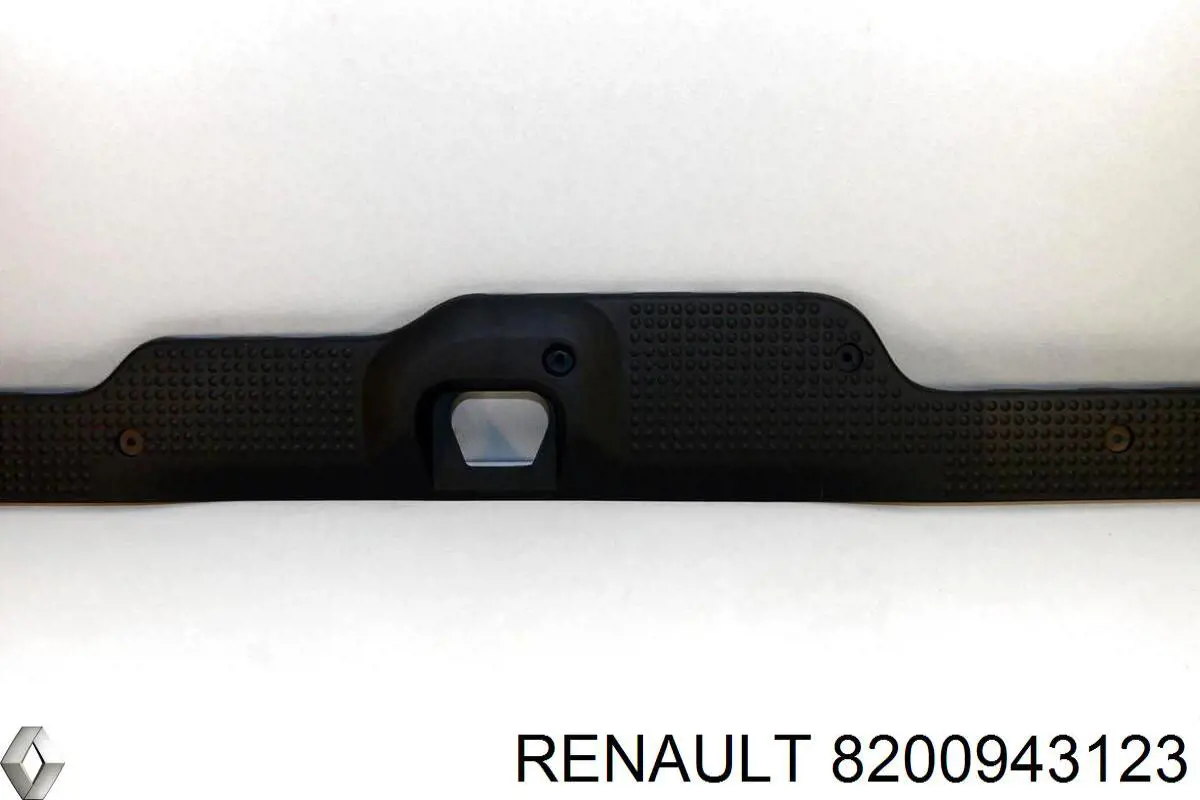  8200943123 Renault (RVI)