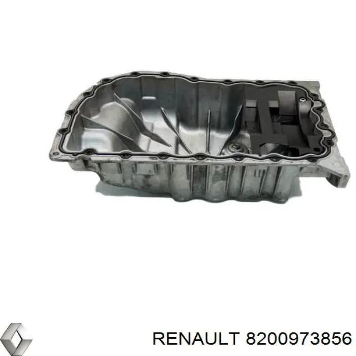  8200973856 Renault (RVI)