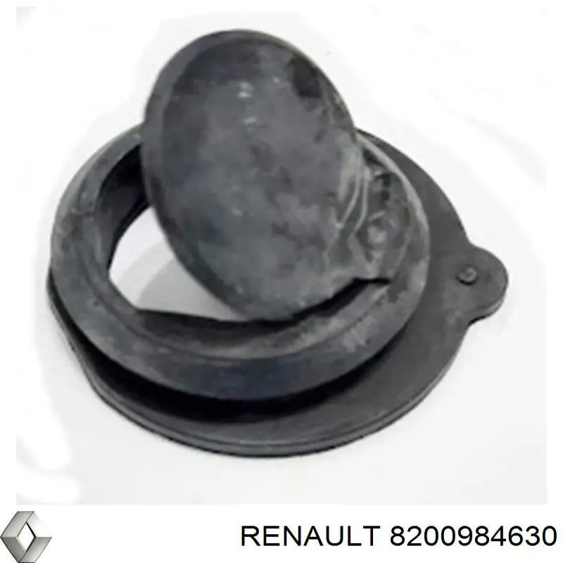 8200984630 Renault (RVI) 