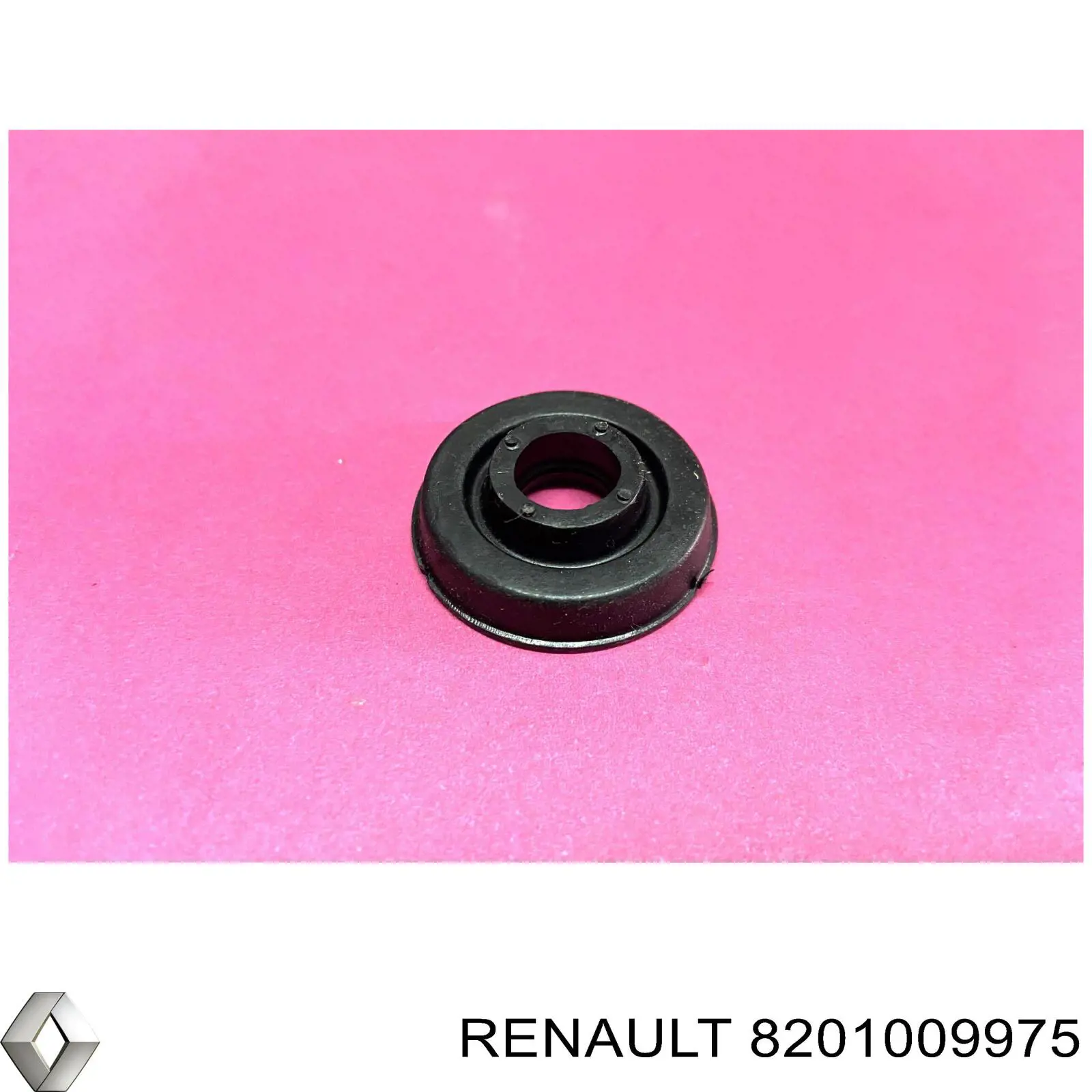 8201009975 Renault (RVI) arruela de parafuso da tampa de válvulas