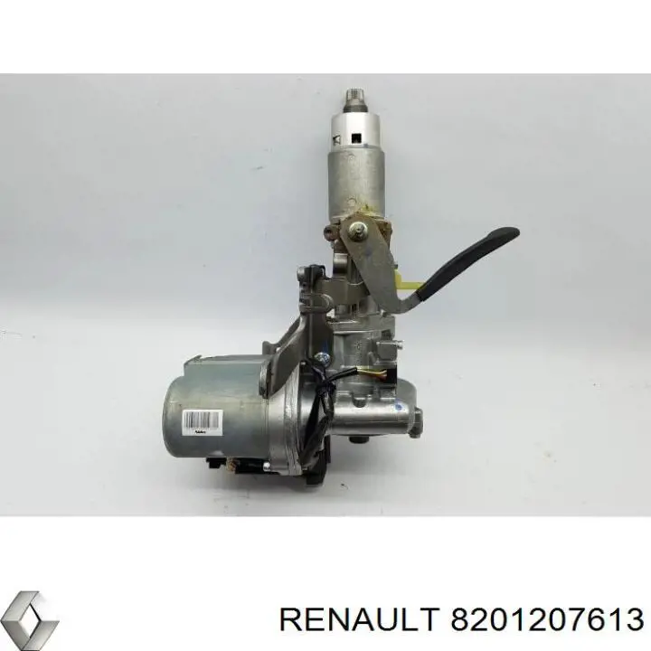  8201207613 Renault (RVI)