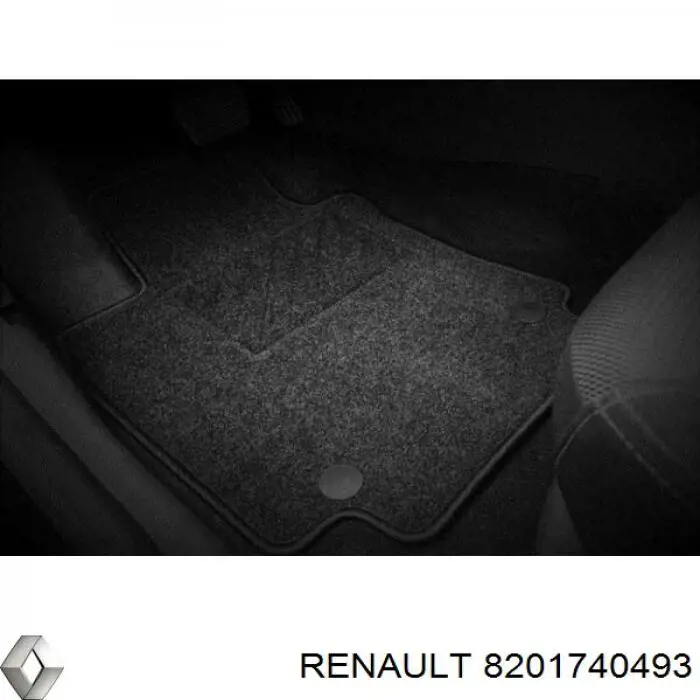  8201740493 Renault (RVI)