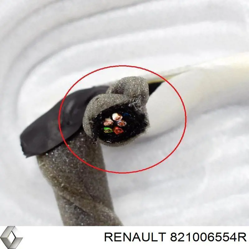 821006554R Renault (RVI) 