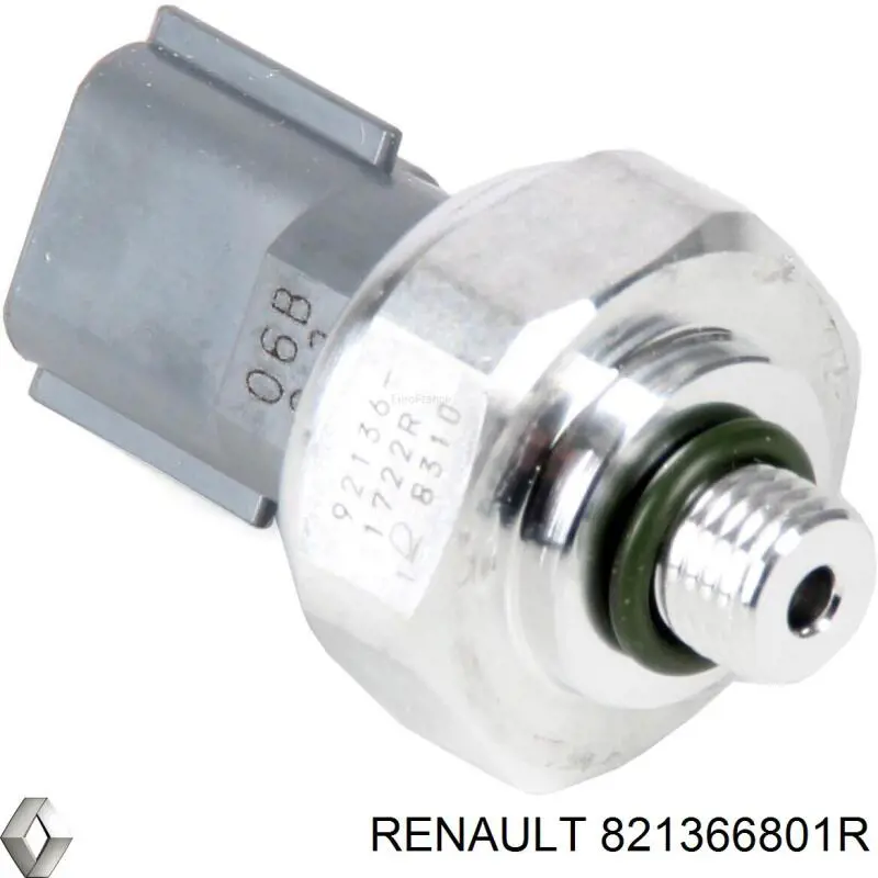  821366801R Renault (RVI)