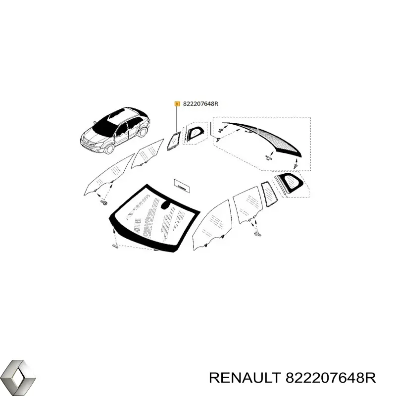  822207648R Renault (RVI)