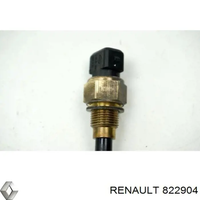 822904 Renault (RVI) 