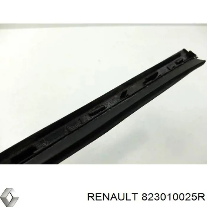 823010025R Renault (RVI)