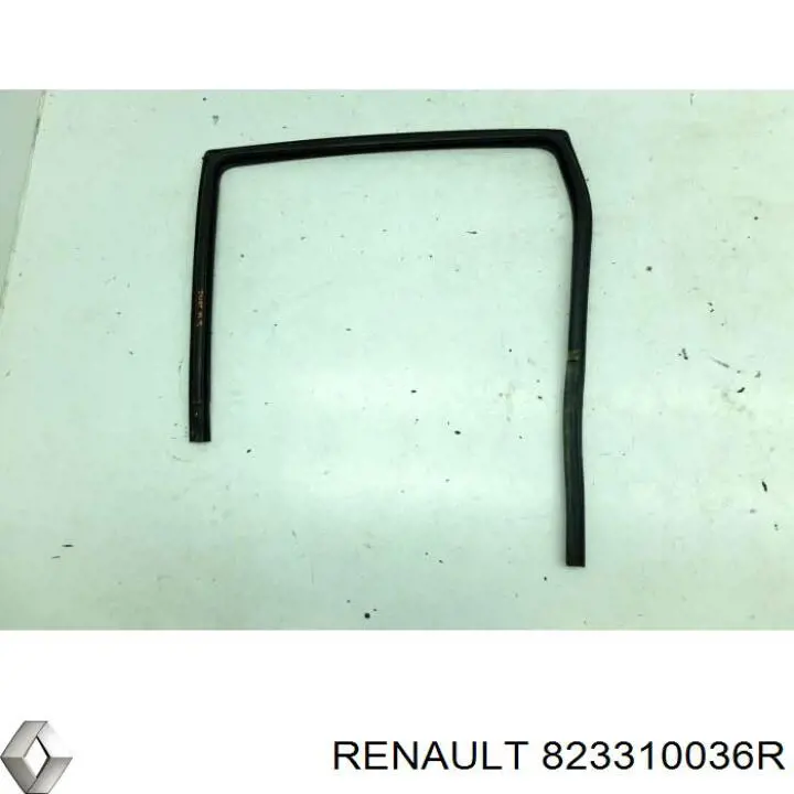 823310036R Renault (RVI) 