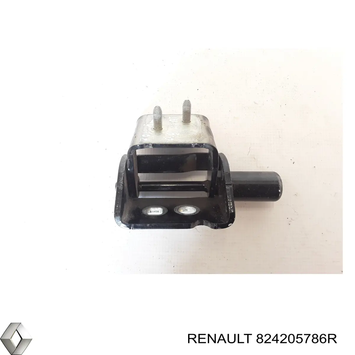 824205786R Renault (RVI) Завеса двери задней правой